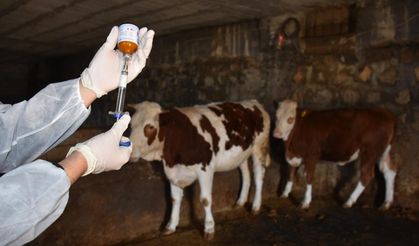 Bakan Yumaklı: 8,5 milyon doz şap aşısını sahaya gönderdik