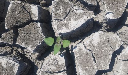 Gaziantep'teki Tahtaköprü Barajı'nda su seviyesi yüzde 30'a düştü
