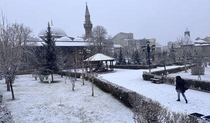 Erzurum, Kars, Ardahan ve Tunceli'de kar etkili oluyor