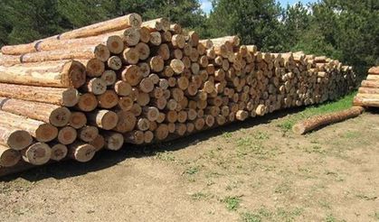 ORMAN EMVALİ İSTİFLEME HİZMETİ ALINACAKTIR