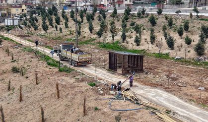 Karbon Yutak Alanı’nda Çalışmalar Sürüyor