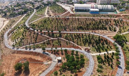 Büyükşehir’in ‘Yeşil Dönüşüm’ Hamlesi Karbon Yutak Alanı’nda Çalışmalar Sürüyor