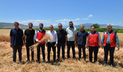 Kahramanmaraş’ta Buğday Hasadı Başladı