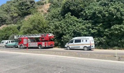 Ağaçlık Alanda Korkutan Olay: İncir Ağacında Asılı Ce*et Bulundu
