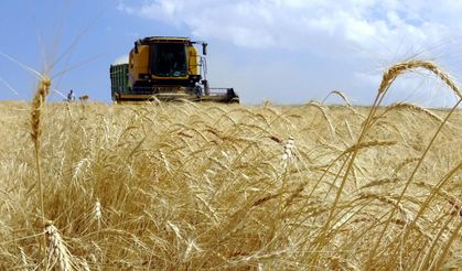 Türkiye, tarımsal hasılada geçen yıl 83 milyar doları aşarak rekor kırdı