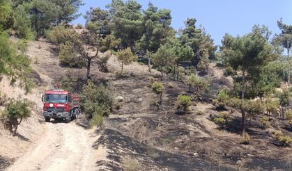 Kahramanmaraş’ta Orman Yangını Kontrol Altına Alındı