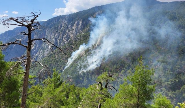 Burdur'da Karanlıkdere Kanyonu'nda çıkan orman yangını kontrol altına alındı