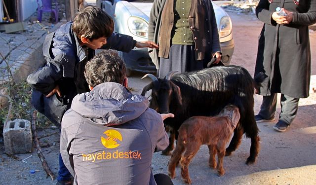 Deprem Bölgesindeki 3 Bin 600 Hayvanın Yem İhtiyacını Karşıladılar