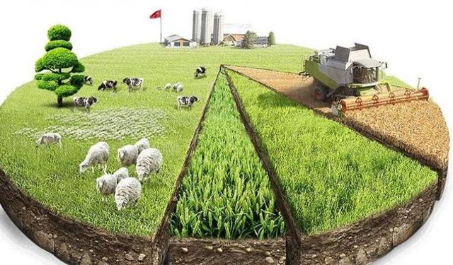 İlçe Tarım’dan ÇKS uyarısı