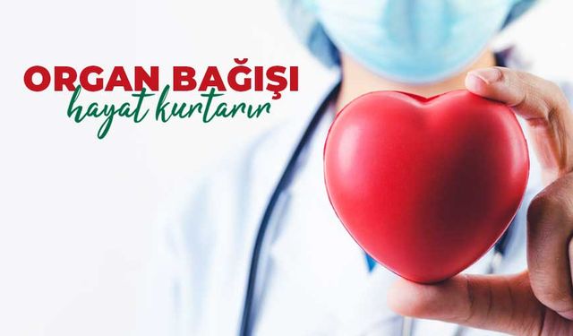 Organ Bağışı ile Her Bağış Yeni Bir Hayat!