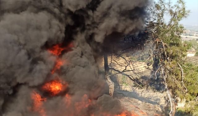 Mersin'de boş arazideki tarımsal sulama hortumları yandı
