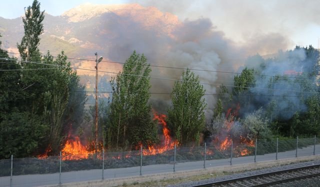 Adana'da ağaçlık alanda çıkan yangın söndürüldü