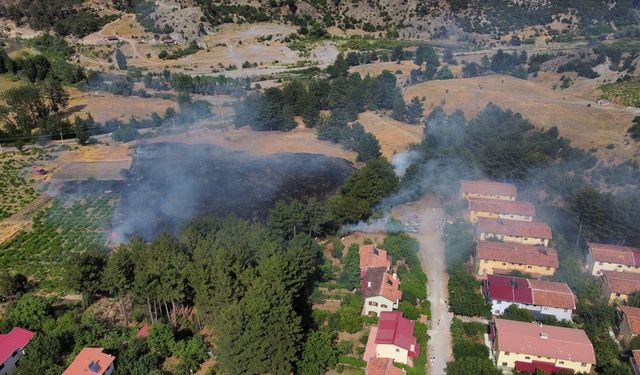 Adana'da örtü yangını kontrol altına alındı