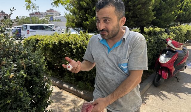 Antalya'da acemi kasaplar hastanelik oldu