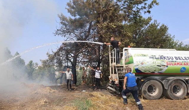 Antalya'da otluk alanda çıkan yangın ev ve seralara zarar verdi