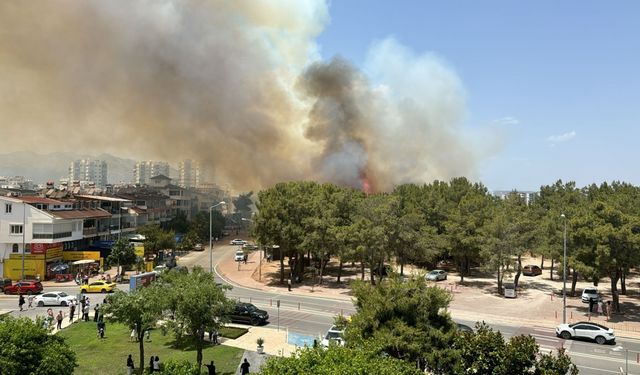 Antalya'da yerleşim yerine yakın ağaçlık alanda yangın çıktı