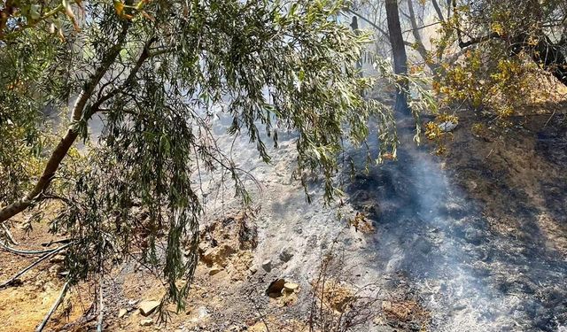 Belen'de zeytinlik alanda çıkan yangın söndürüldü