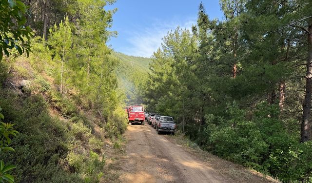 Antalya'nın Manavgat ilçesinde ormanlık alanda yangın çıktı