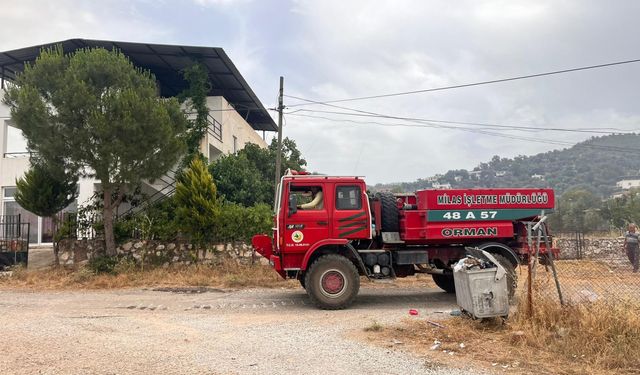 Muğla'nın Milas ilçesinde orman yangını çıktı