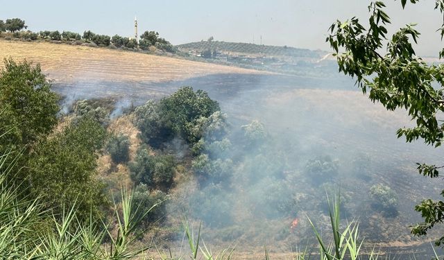 Hatay'da çıkan anız yangını söndürüldü