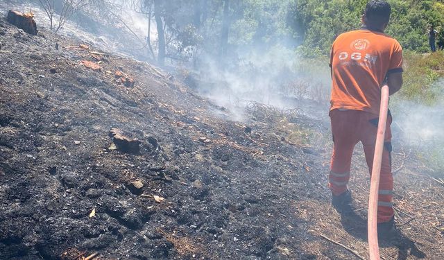 Hatay'da çıkan orman yangını kontrol altına alındı