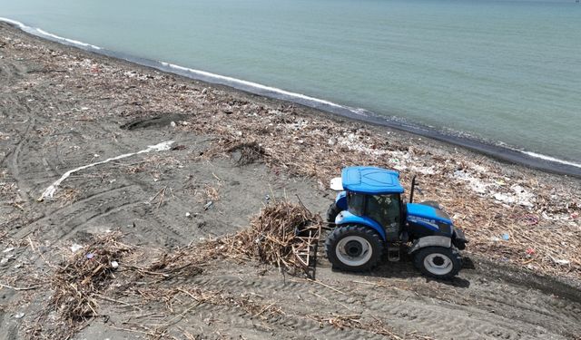 Hatay'da deniz kaplumbağalarının yuvalama alanları temizlendi