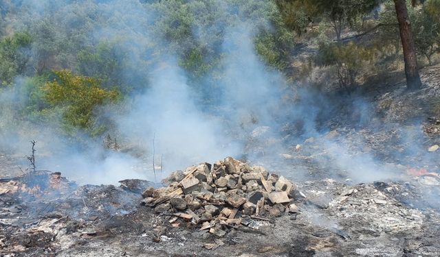 Hatay'da otluk ve ağaçlık alanda çıkan yangın söndürüldü