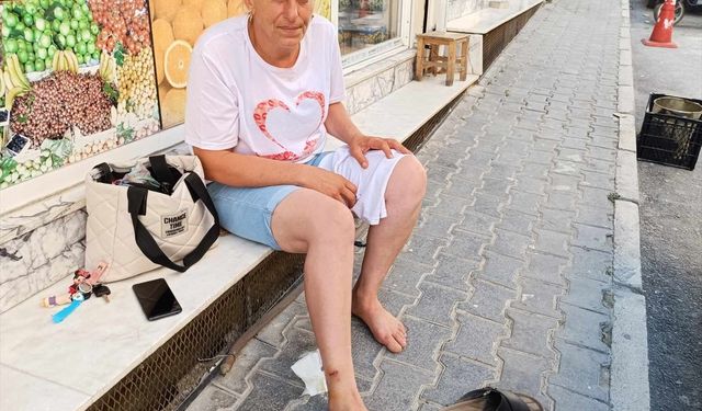 Hatay'da sahipsiz köpeğin saldırdığı kadın yaralandı