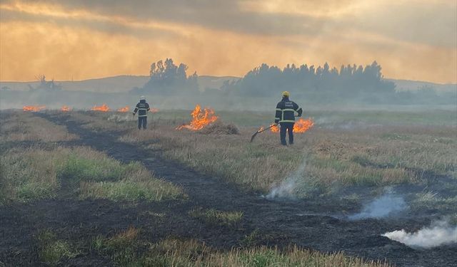 Hatay'da sazlık alanda çıkan yangın söndürüldü