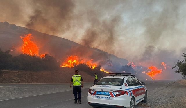 Kahramanmaraş'ta çıkan yangında 10 hektar makilik alan zarar gördü