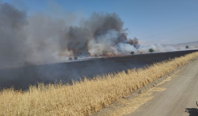 Kahramanmaraş'ta yaklaşık 150 dönüm buğday tarlası yandı