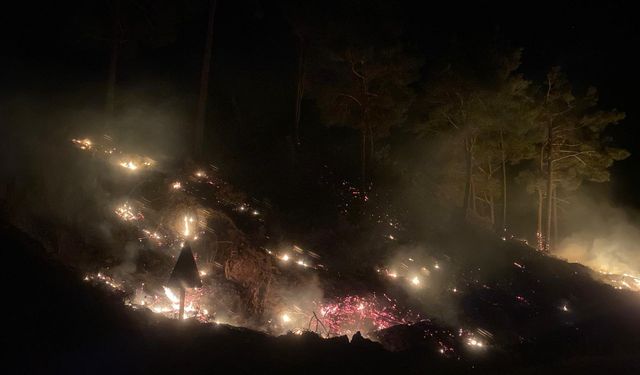 Mersin'de çıkan orman yangını söndürüldü