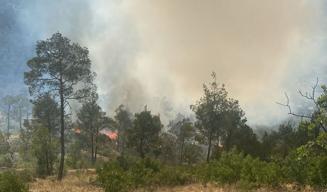 Mersin'de çıkan orman yangınına müdahale ediliyor