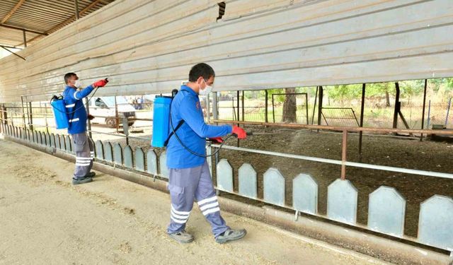 Meyve ihracatının düşmanı Akdeniz Meyve Sineği ile topyekun mücadele