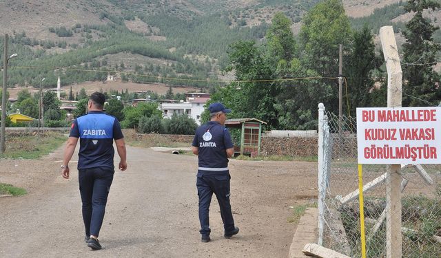 Şanlıurfa'da kuduz karantinası