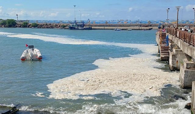 Karadeniz'de müsilaj yayılıyor