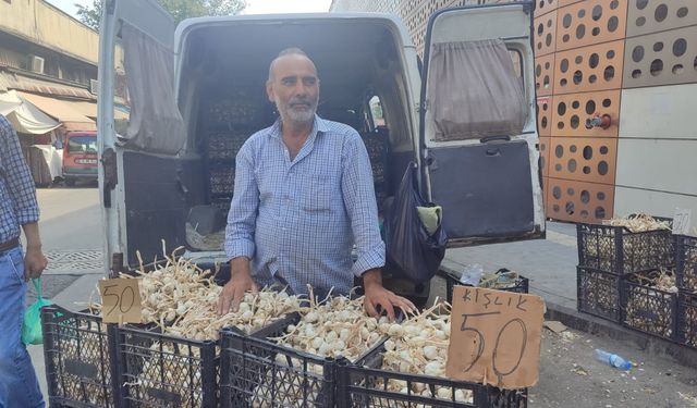 Kahramanmaraş'ta sarımsak satışları arttı