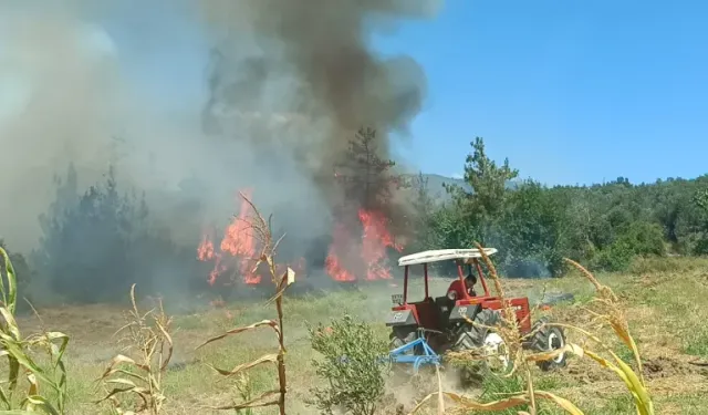 Kozan'da Çıkan Anız Yangınına Müdahale Sürüyor