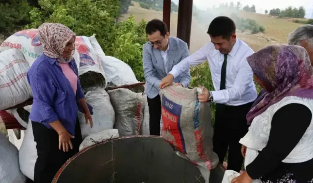 Feke'de 200 Dönümlük Alanda Ellik Ve Orakla Geleneksel Hasat