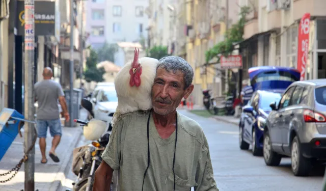 Gören dönüp bir daha bakıyor