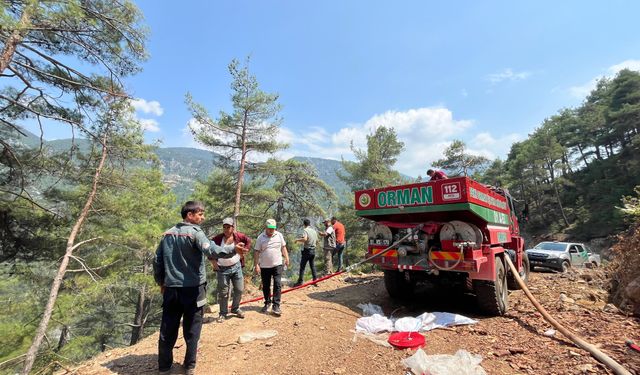 Adana'da orman yangını