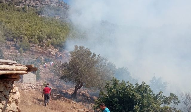 Mersin'de bahçe yangını, ormana sıçramadan söndürüldü