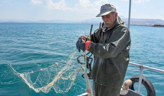 İnci kefalinde av sezonu başladı