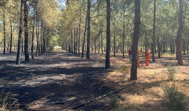 Antalya'da ormanlık alanda çıkan yangın söndürüldü