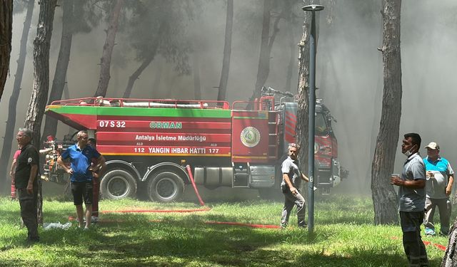 Antalya'da ormanlık alandaki bir restoranda yangın çıktı