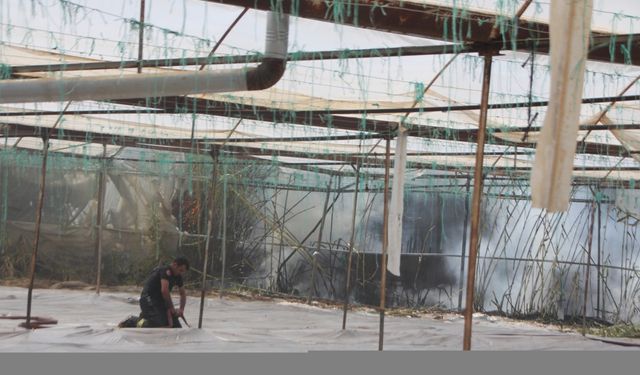 Antalya'da otluk alanda başlayıp ormana ve seralara sıçrayan yangın söndürüldü