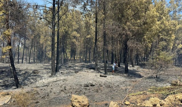 Antalya'da yerleşim yerleri yakınında çıkan yangın kontrol altına alındı