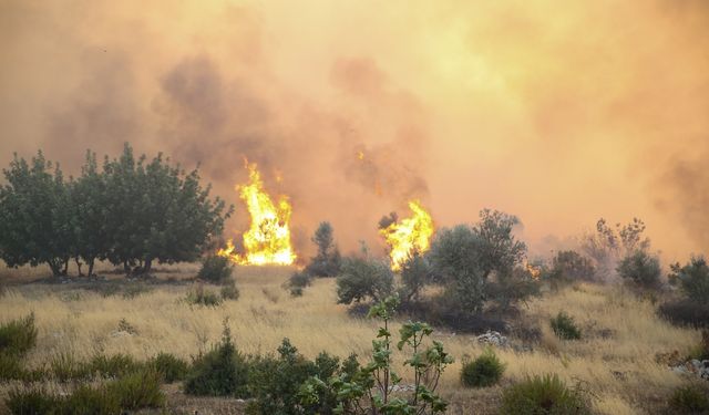 Antalya'da ormanlık alanda yangın çıktı