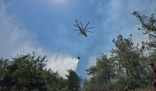 GÜNCELLEME - Hatay'da çıkan orman yangını kontrol altına alındı