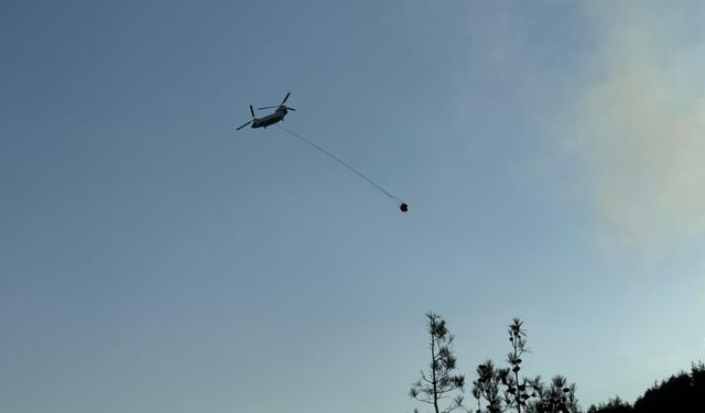 Kahramanmaraş'ta çıkan orman yangınına ekiplerce müdahale ediliyor